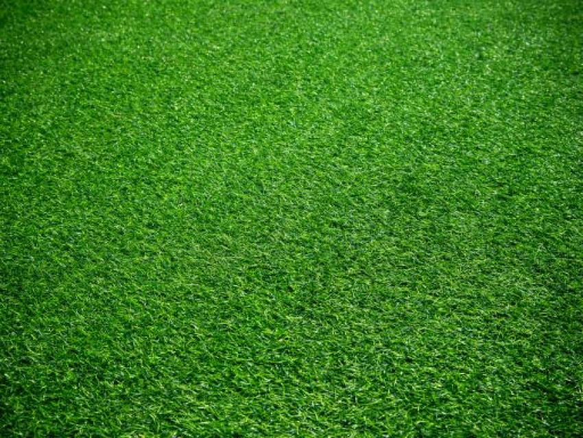 Turf
